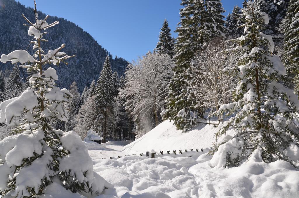 Chalet Al Faggio Hostal Lenzumo di Concei Exterior foto